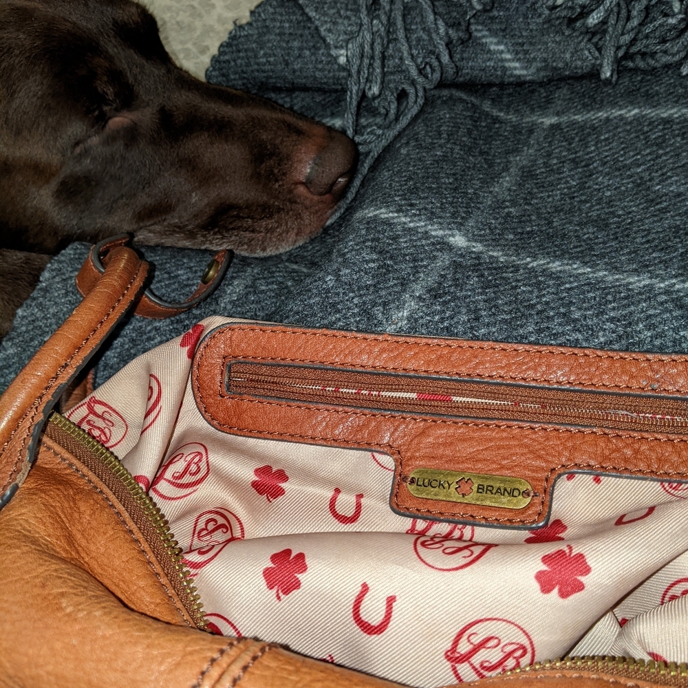 Lucky Brand chestnut leather hobo/cross body bag - Picture 4 of 13